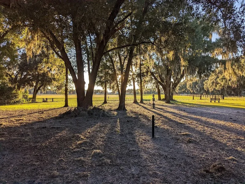 BarkPark of Wildwood