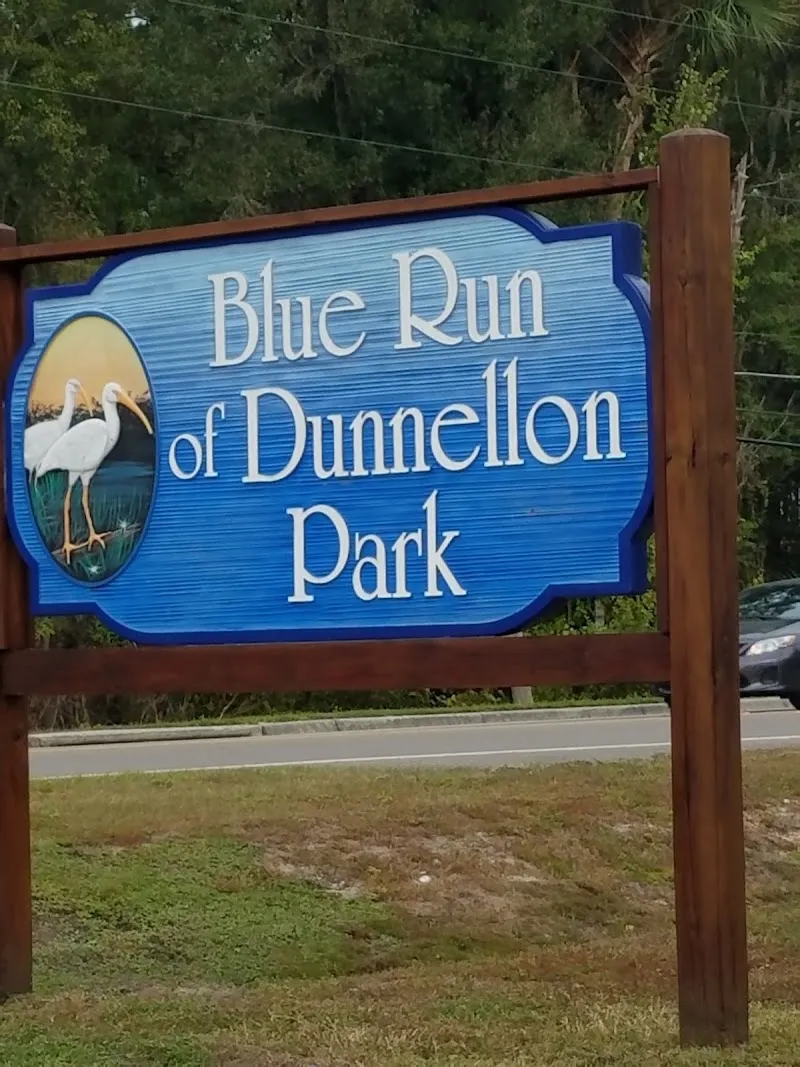 Blue Run of Dunnellon Park