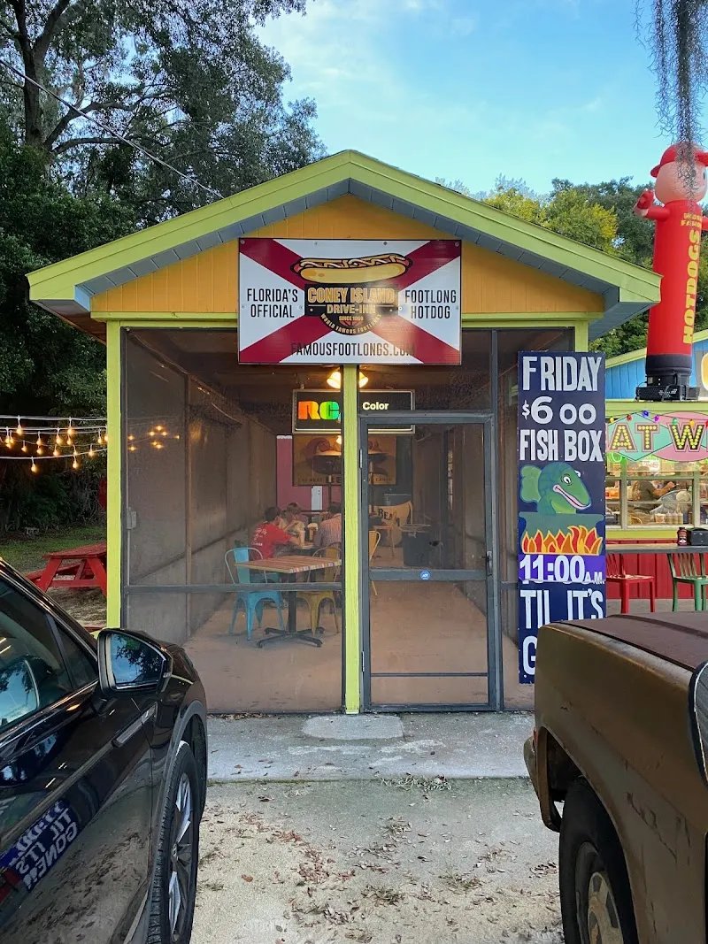 Coney Island Bushnell