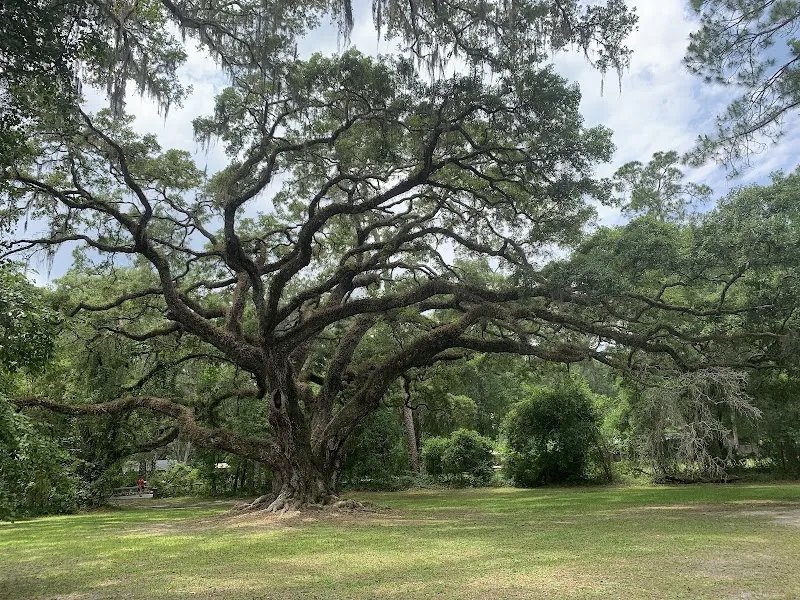 Dade Battlefield Historic State Park