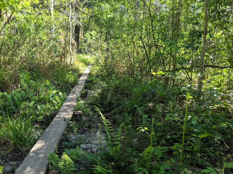 Hidden Waters Preserve