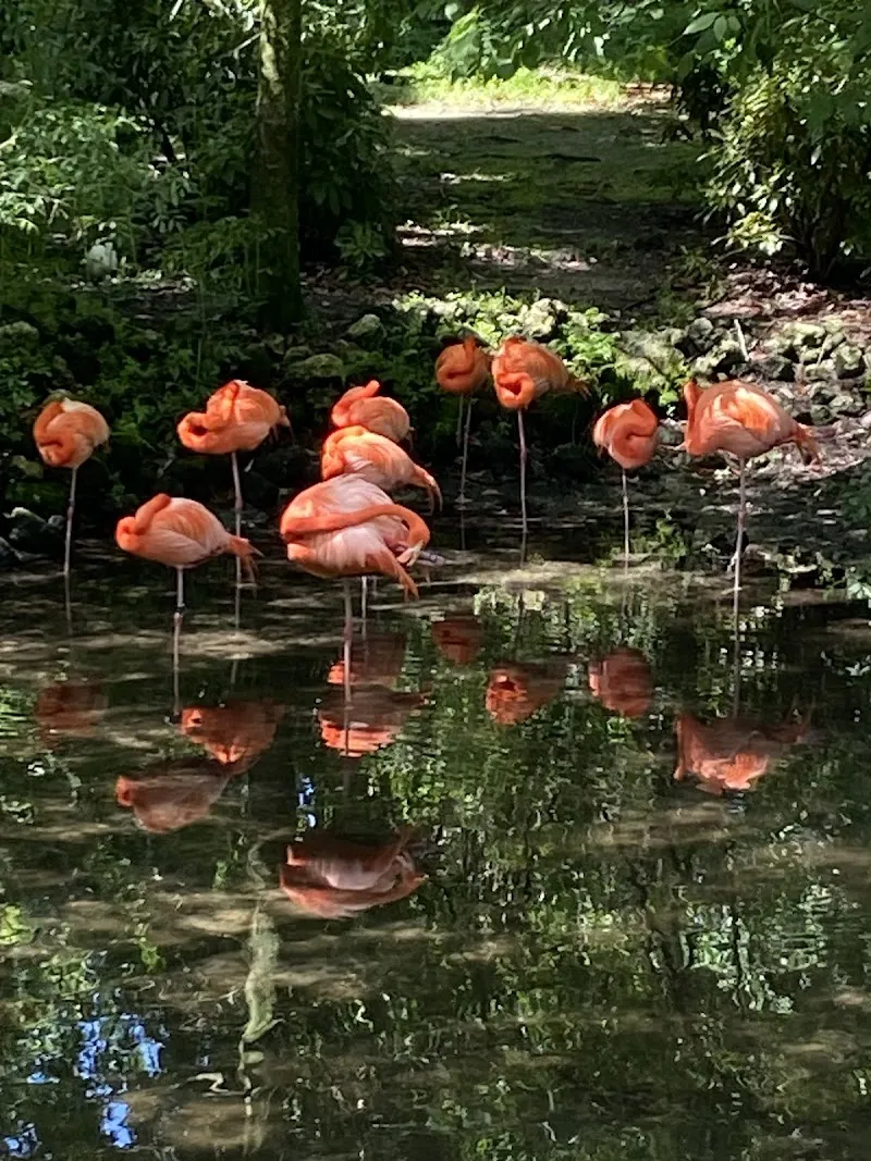 Homosassa Springs State Park Adventures