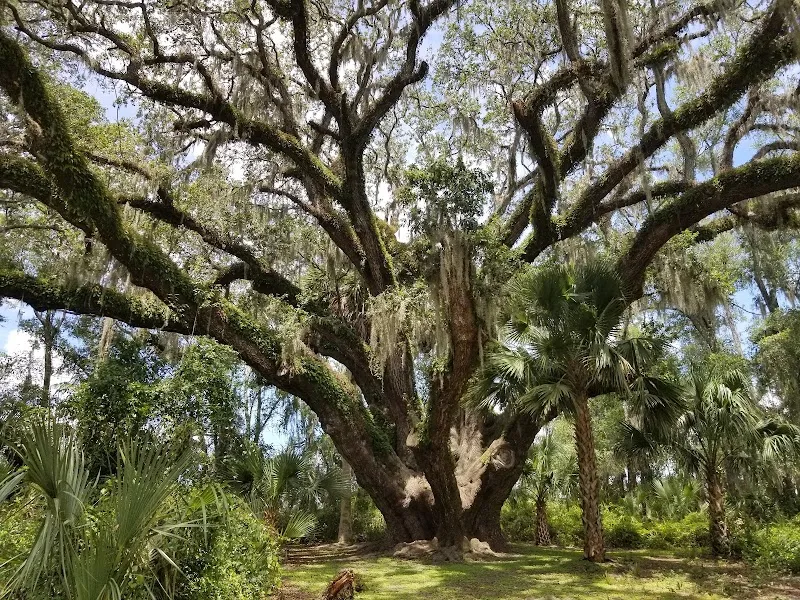 Lake Griffin State Park