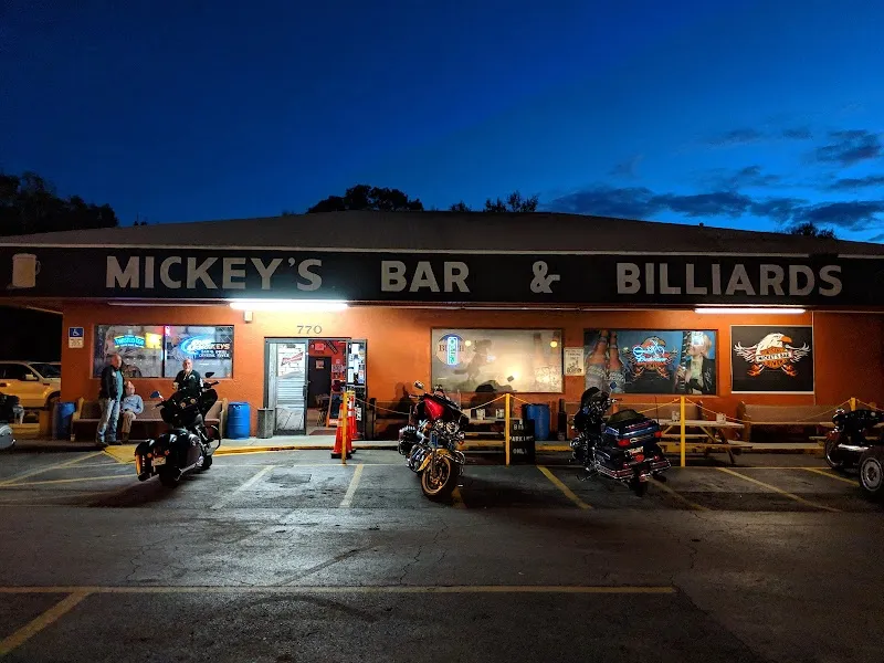 Mickey's Bar Crystal River