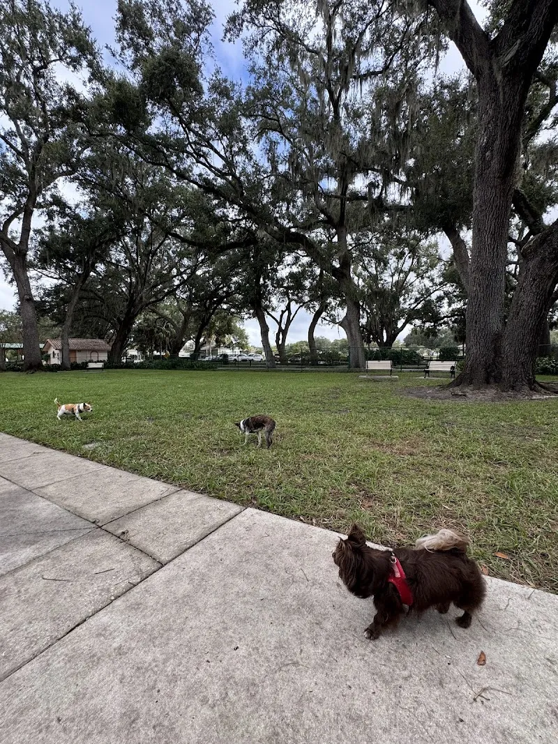 Paradise Dog Park