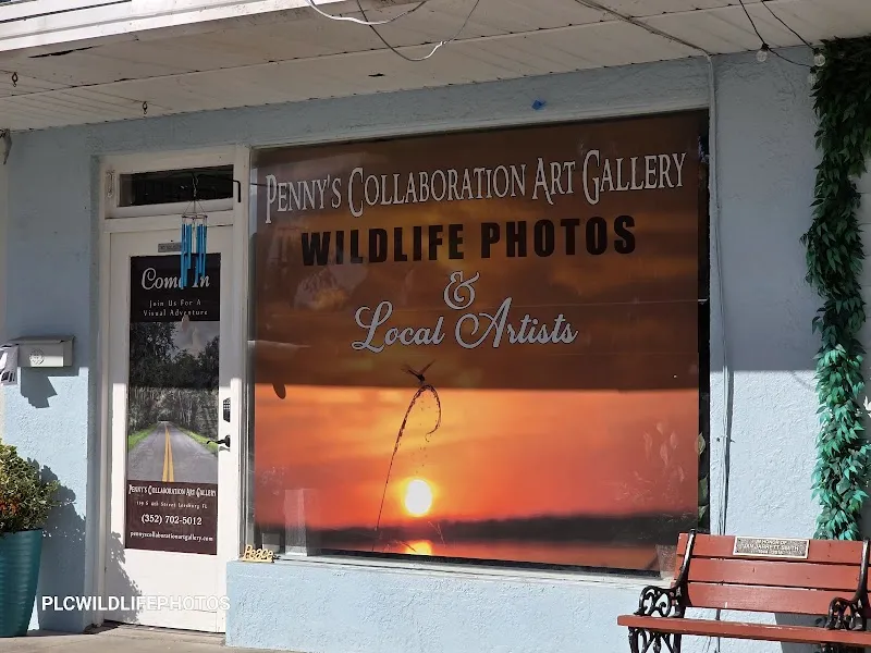 Penny's Collaboration Art Gallery