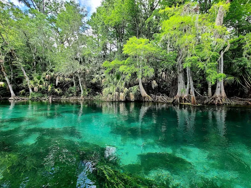 Silver Springs State Park