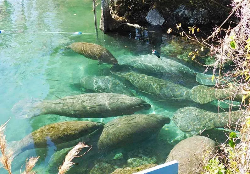 Three Sisters Springs