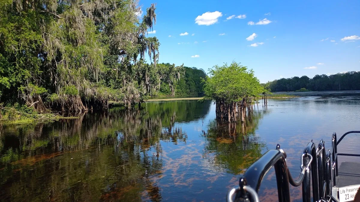 Wild Bill's Airboat Tours