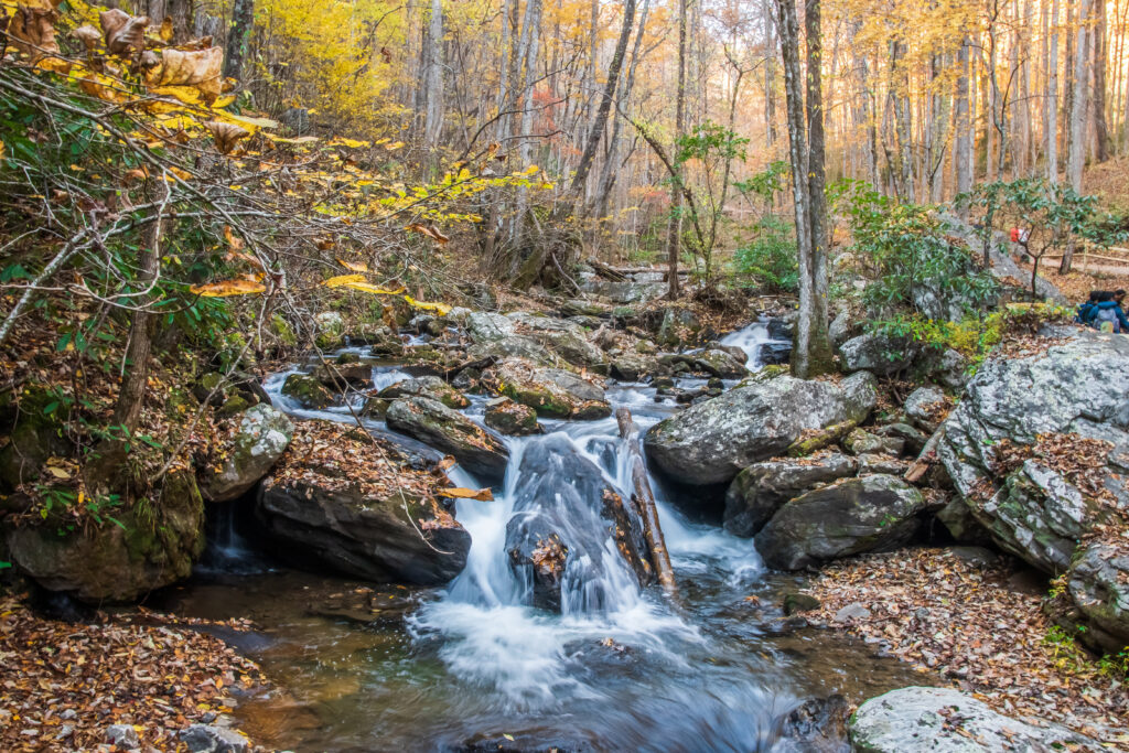 In a stream, you can see life’s ever-changing rhythm—sometimes calm, sometimes wild, but always moving forward, Anna Ruby Falls, Helen, Georgia, United States of America